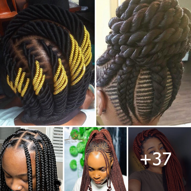 Stunning Braided Hairstyle Ideas! γ+37 IMAGESγ