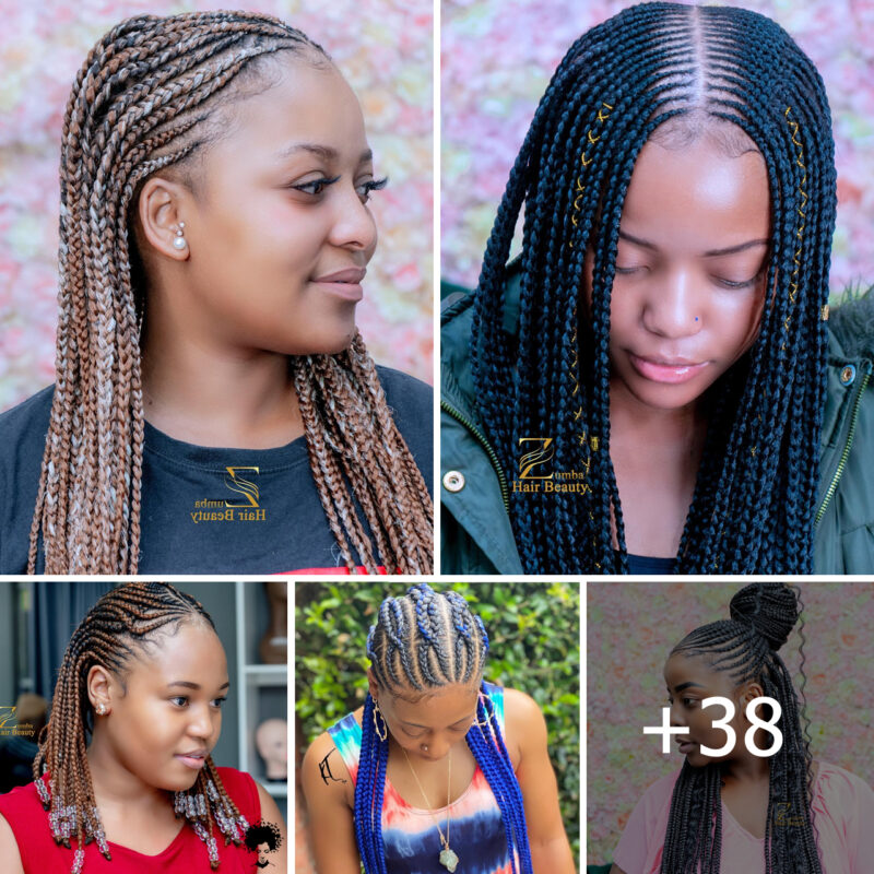 38 Beautiful Braided Hairstyles for Natural and Relaxed Hair