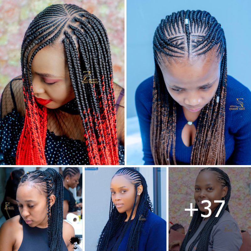 37+ Chic Braided Hairstyles for Women to Explore in 2024